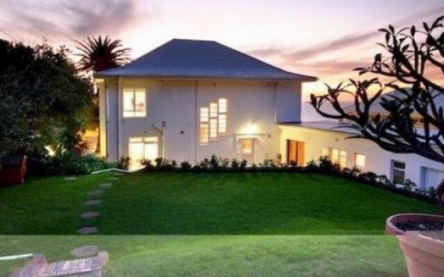 Palm Tree House