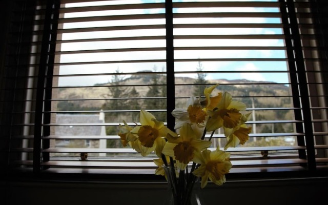Airlie House B&B