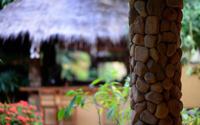 Mea Culpa Kampot