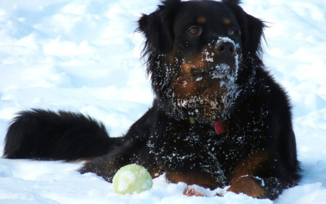 Holiday Inn Kingston Waterfront by IHG