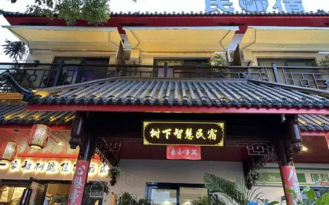 Shanghai Wisdom Hostel Under the Tree