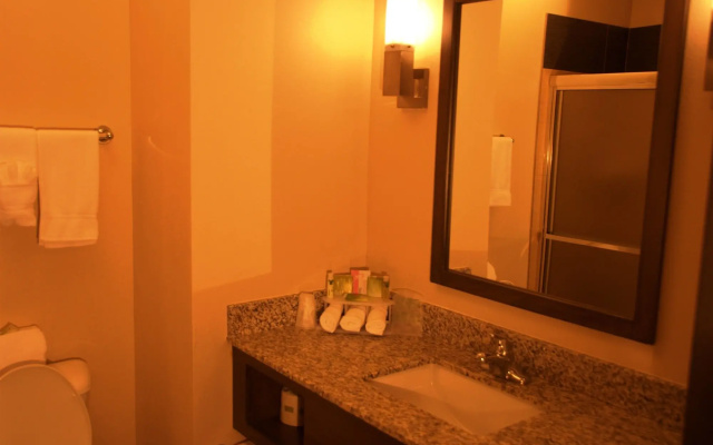 Holiday Inn And Suites Globe