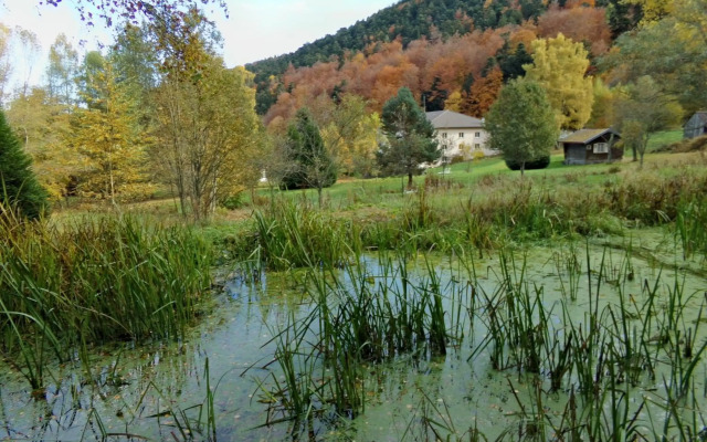 Hôtel Domaine Langmatt