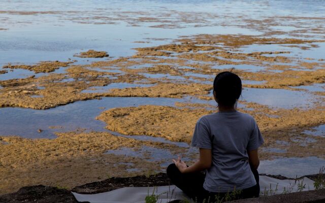 Plataran Menjangan Resort and Spa