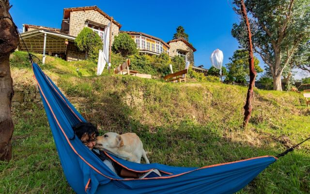 Zostel Kodaikanal - Hostel