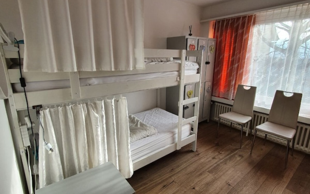 Viktoria Budget Hostel