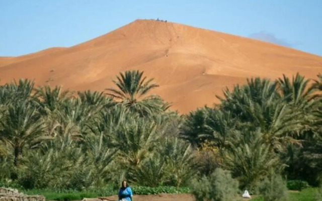 Riad Tadarte