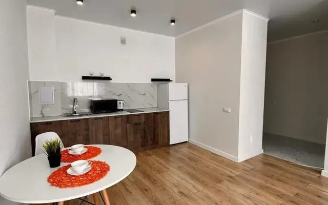 Apartments on 120 Auelbekova Street