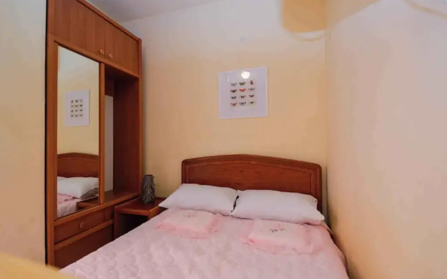 Apartments Pjescana Uvala/istrien 11166