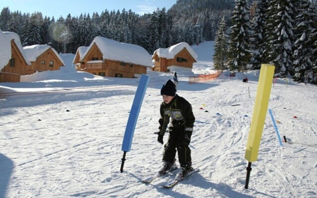 Comfy Chalet in Altaussee near Ski Area