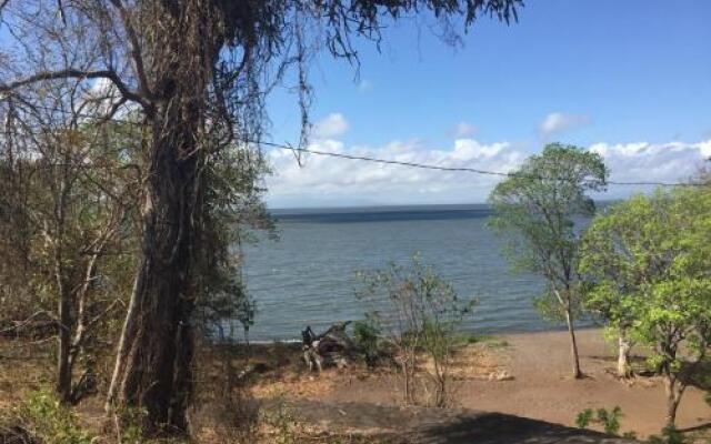 Monkeys Island Ometepe