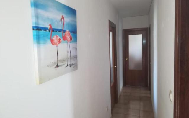 Apartamento balcones del Tajo 2