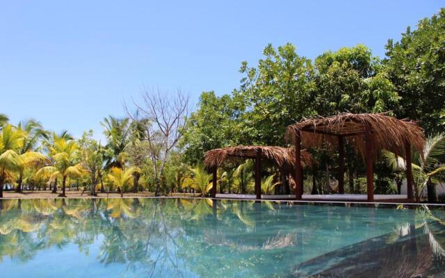 Hotel Hibiscus Garden / Jardin De Papos