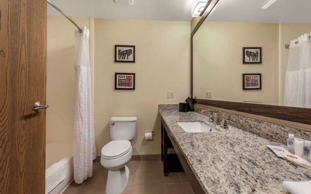 Comfort Suites Mason near Kings Island