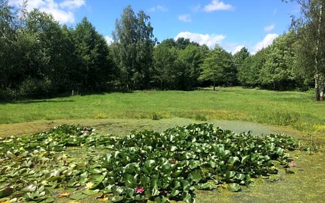 B&B Landgoed Bergerven