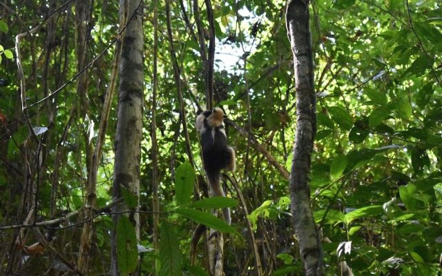 Pacheco Tours & Cabinas