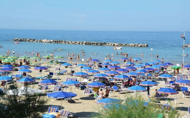 Il Gabbiano