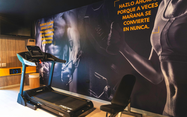 Palmetto Hotel Business San Borja