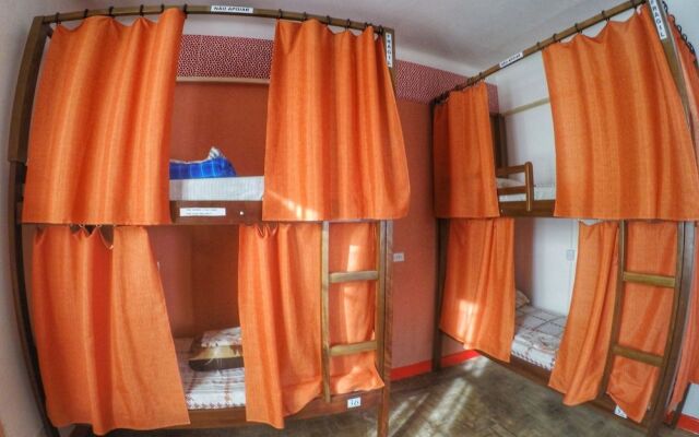 Red Monkey Hostel: Barra Funda