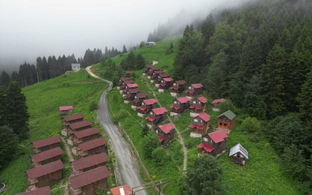 Zitas Zigana Holiday Resort