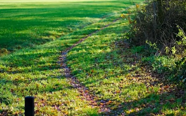 T'hûs bed & breakfast