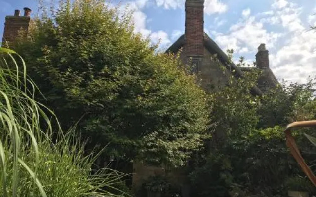 Warren House B&B