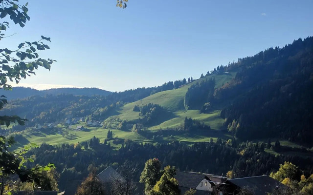 Gostišce In Penzion Stari Vrh