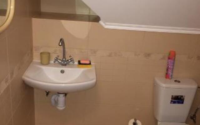 На улице Архитектора Попова