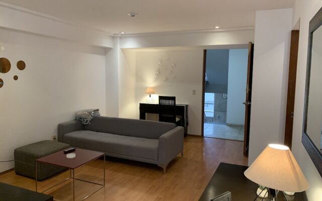 1br Clean & Big Apartment @Polanco