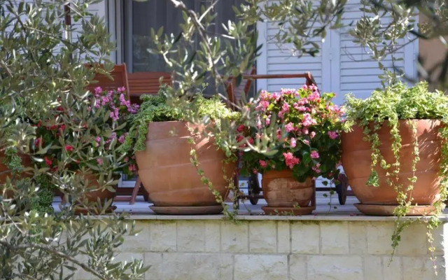 Apartments Kodžoman