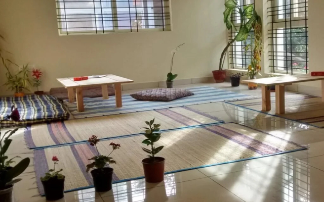 The Meditating Monkeys