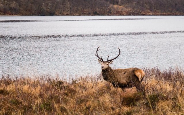 Otterburn Bed & Breakfast