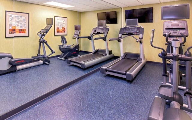 Spark by Hilton Lancaster