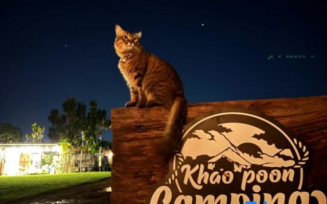 Khao Poon Camping