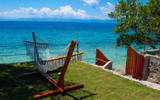 Quo Vadis Dive Resort Moalboal