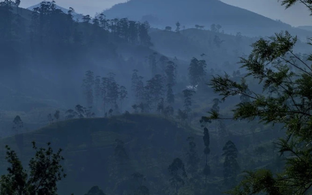 Strathdon by Zinc Journeys