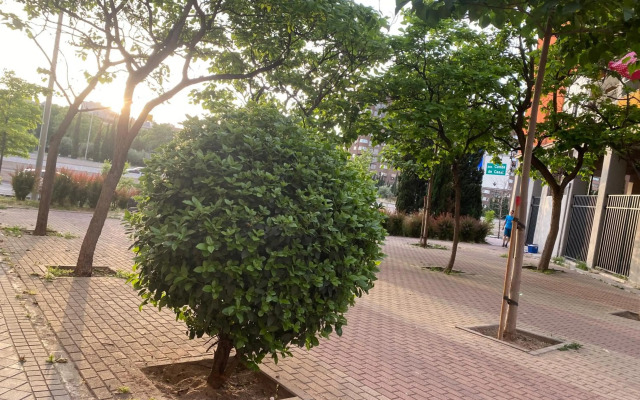 Cosmopolita Madrid zona Céntrica