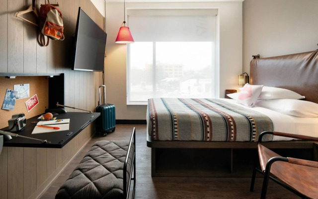 Moxy Austin - University