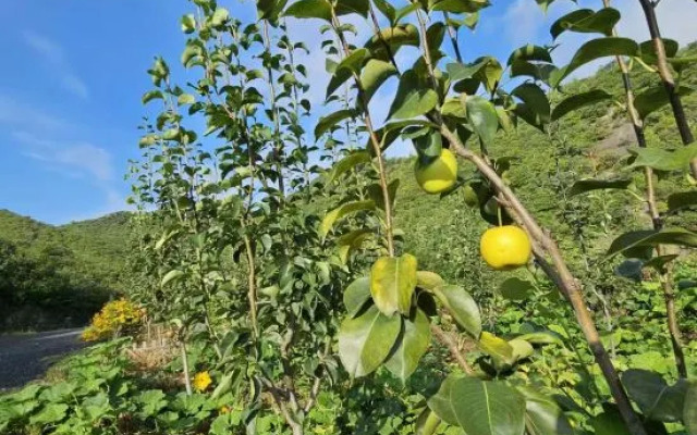 Homeland Ecological Park Homestay, Beijing