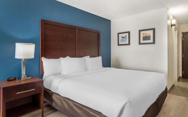 Comfort Inn Charlotte Airport Uptown