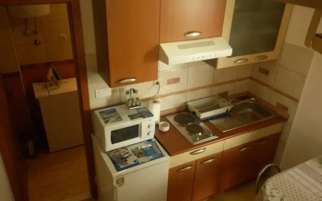 Rosmarinus Rubic studio