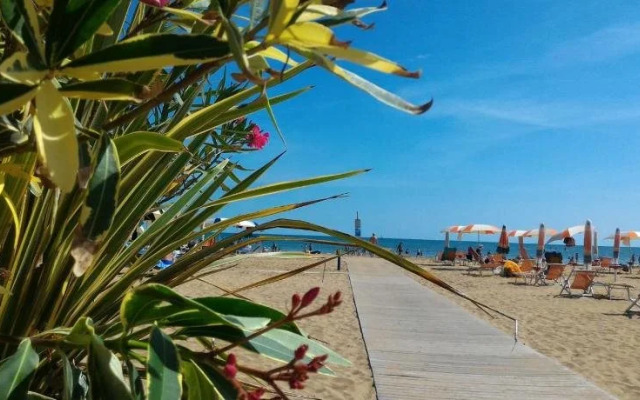 Appartements Narcisi