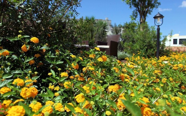 The Courtyard - Elsa