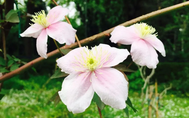 Le dimore de Il borgo del balsamico