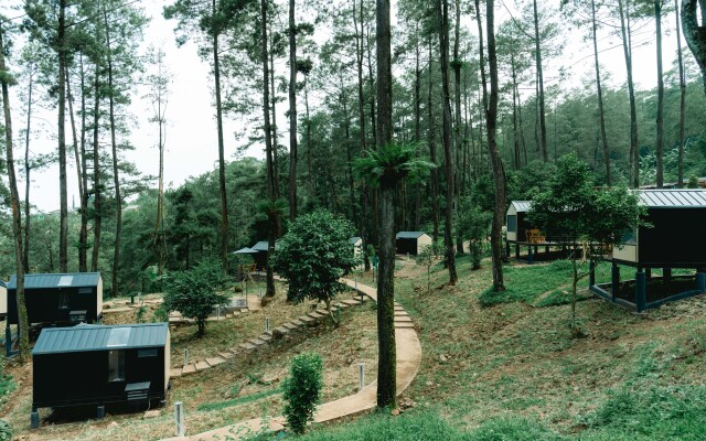 Bobocabin Padusan