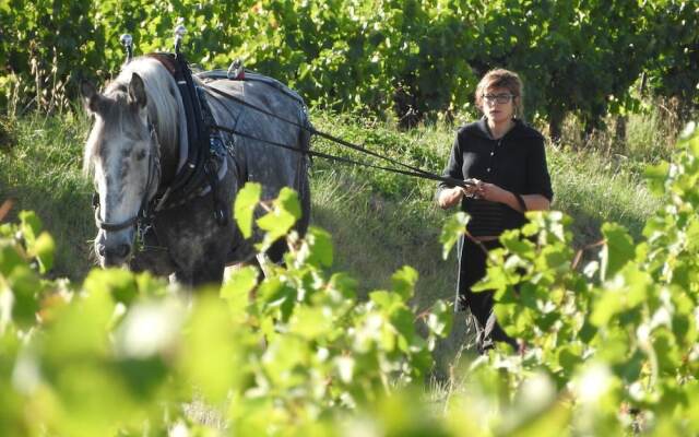 Domaine Houillon