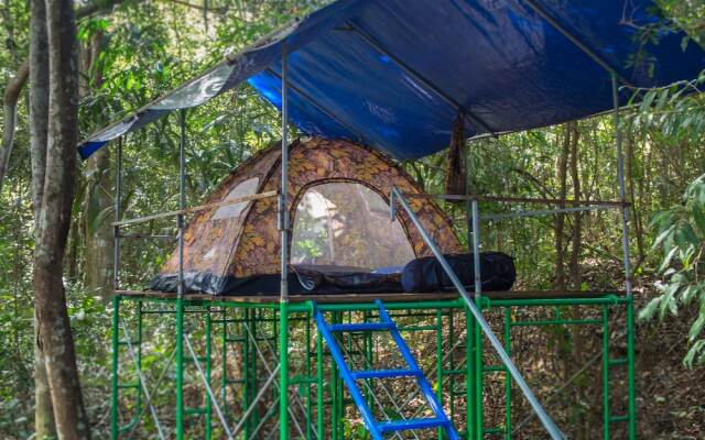Wichai's Jungle Home Stay