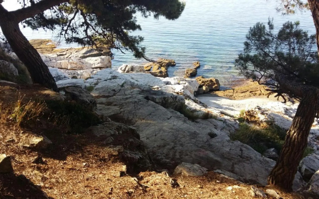 Studio Apartment Rosemary