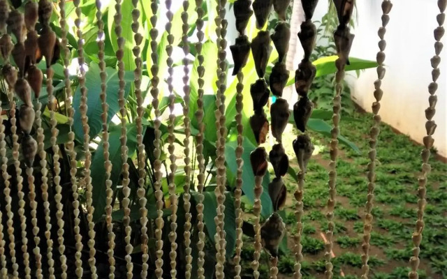 Villa Kalachuchi B&B