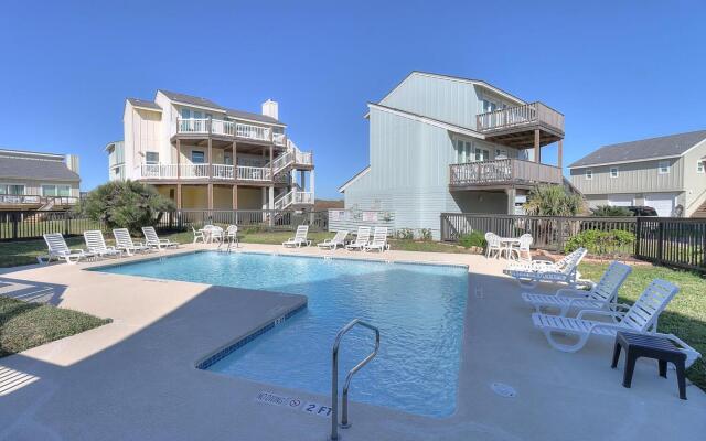 Pelican Sunrise     Lc13